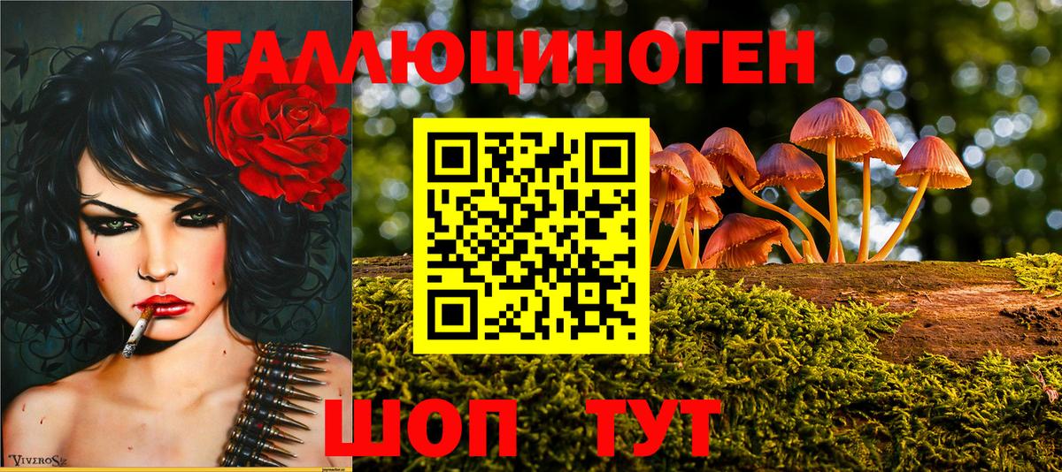 Галлюциногенные грибы Cubensis  Псилоцибиновые грибы Psilocybe  Братск  Вход с VPN 
