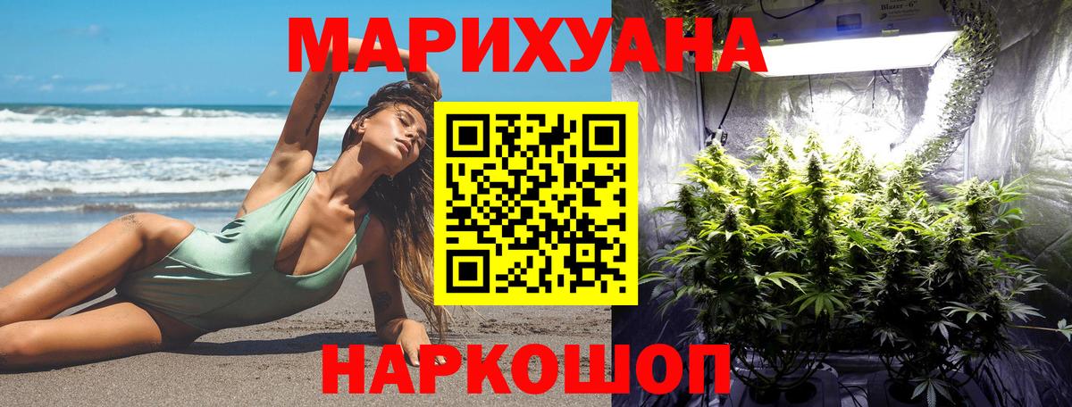 Конопля OG Kush Братск